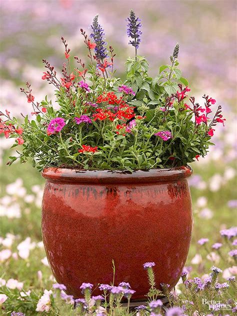 6 Smart Ideas For Container Gardens That Attract Pollinators