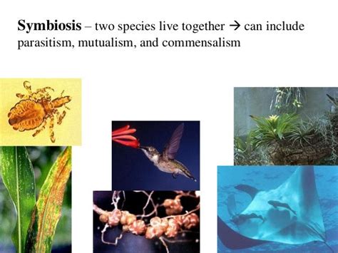 Interactions Of Organisms In Ecosystem