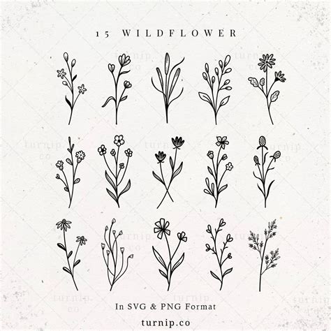 Wildflower Svg Bundle Png Botanical Clipart Sublimation Graphic