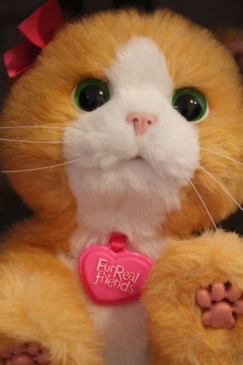 Furreal Friends Daisy Plays With Me Kitty Review 2013 Holiday T Idea Livin The Mommy Life