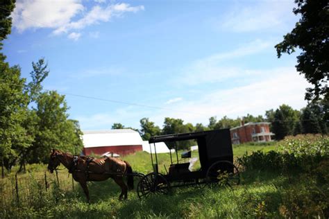 Abduction Case Tests Limits Of Amish Ties To Modern World The New