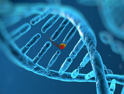 Is Weed In Your Dna What Can 23andme Ancestry Dna And Circle Dna Tell Us About Our Cannabis