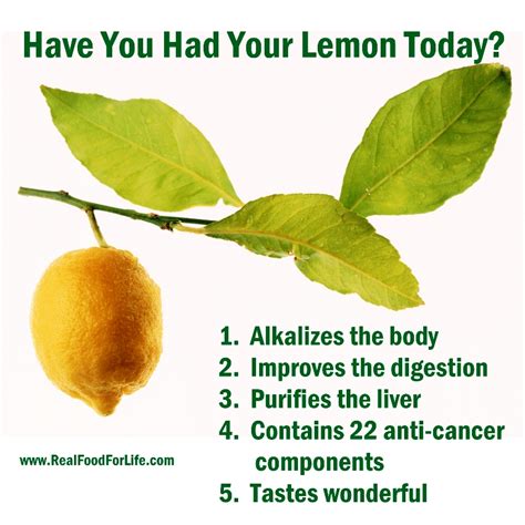 16 Health Benefits Of Lemons Make It An Amazing Alkaline Superfood