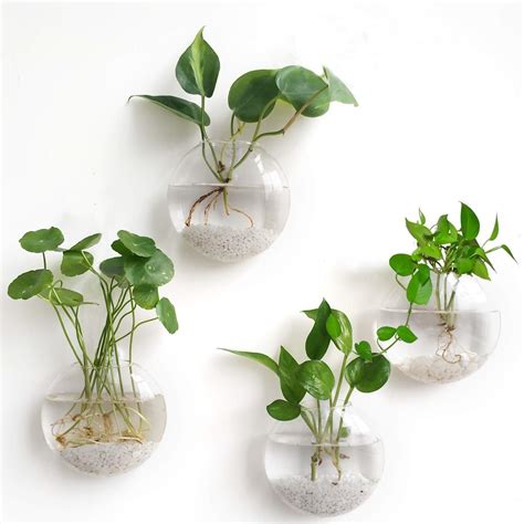 Set Of 4 Glass Planters Wall Vasewall Hanging Planters Round Glass