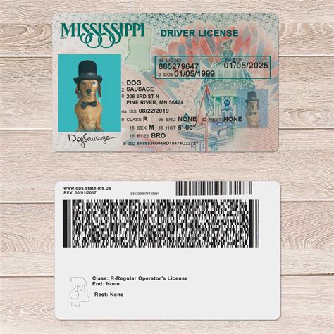 Mississippi Driver License Template Driver License Template