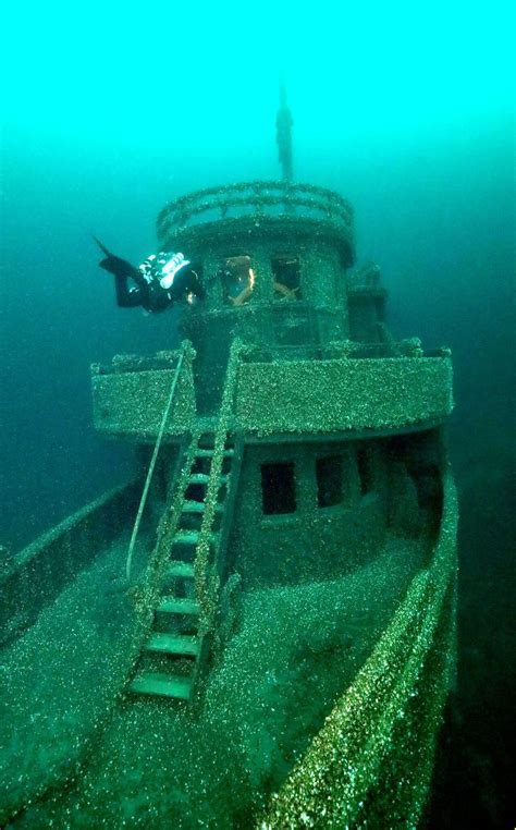 90 Year Old Shipwreck Caused By Herd Of Cows Discovered In Lake Huron
