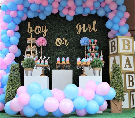 Sex Party Gender Reveal Telegraph