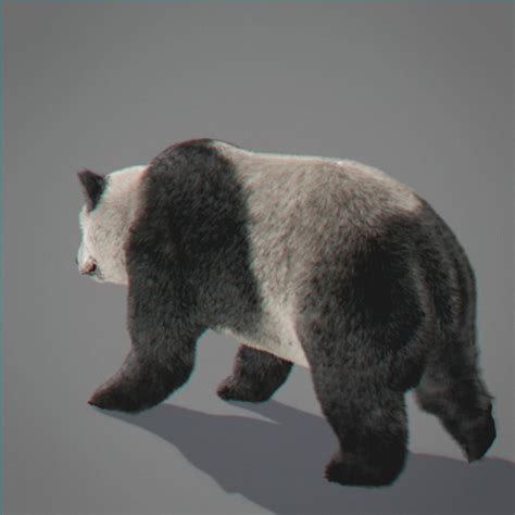 Animated Panda Bear 3d Model Animated Rigged Cgtrader