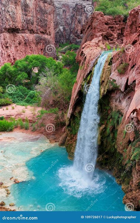 Havasu Falls Waterfalls In The Grand Canyon Arizona Stock Image