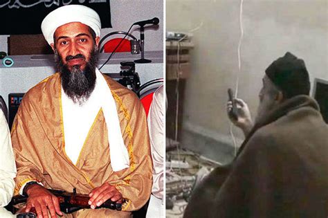 Man Sends Cia Request To See Osama Bin Ladens Massive Porn Stash
