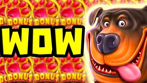 The Dog House Megaways 🐶 Slot Bonus Buys Can We Get The Premiums All