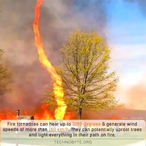 Fire Tornadoes Are Fiery Daredevils That Destroy Everything In Their Way