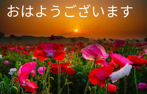 Good Morning In Japanese Pics Images