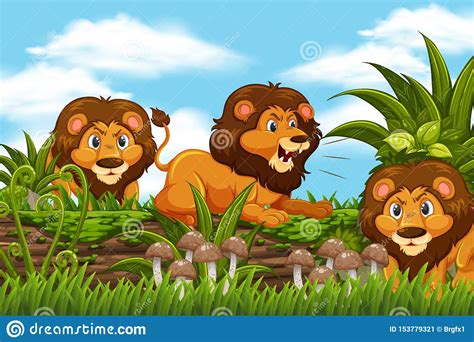 Lions in jungle scene stock illustration. Illustration of plant - 153779321