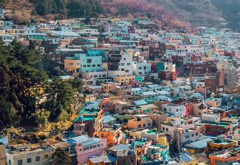 A Guide To Gamcheon Culture Village The Most Charming Place In Korea