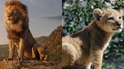 Meet Bahati The Lion Cub Who Served As A Model For Simba In The Lion