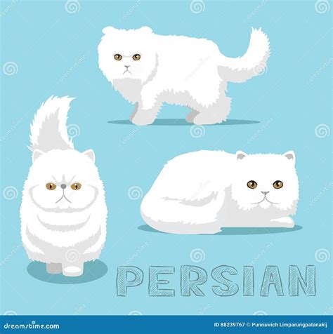 cat persian cartoon vector illustration illustration de vecteur illustration du isolement