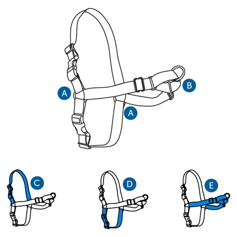 How To Use Your Easy Walk Harness