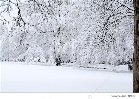 Snow Scene Picture