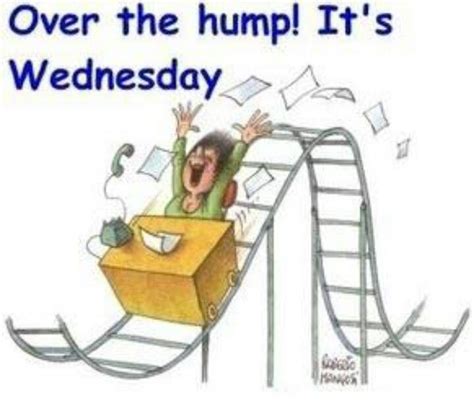 funny wednesday hump day over the hump wednesday humor