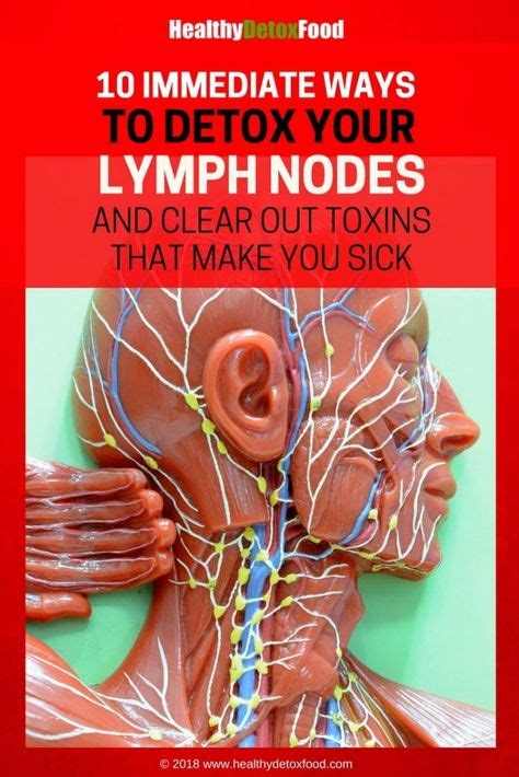 8 Swollen Lymph Nodes Ideas Lymph Nodes Swollen Lymph Nodes Health