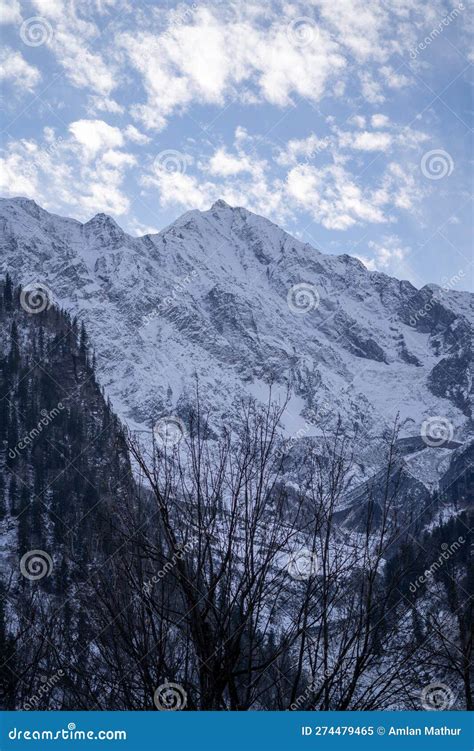 Snow Covered Mountains With Dead Tree Branches In The Foreground Topped