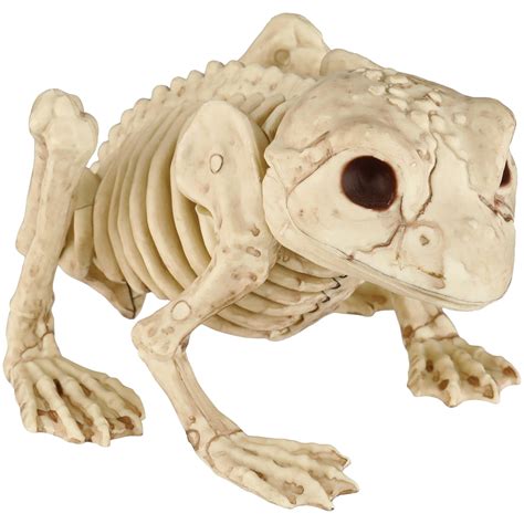 Seasons Frog Skeleton Halloween Decor Shop Seasonal Decor At H E B