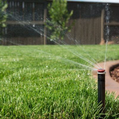 Getting started with lawn fertilizer. How does spreading fertilizer on lawns affect water use? | Ocean River Institute
