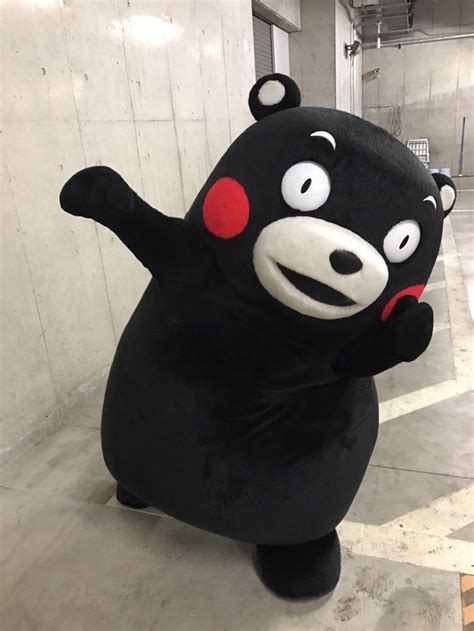 くまモン Kumamon Funny Cute Mascot Kumamon