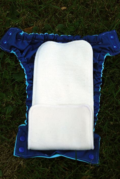 Stand And Deliver Sprout Change Cloth Diaper Review