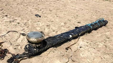 What Is This ‘very Strange Thing Washed Up On A Beach Daily Telegraph