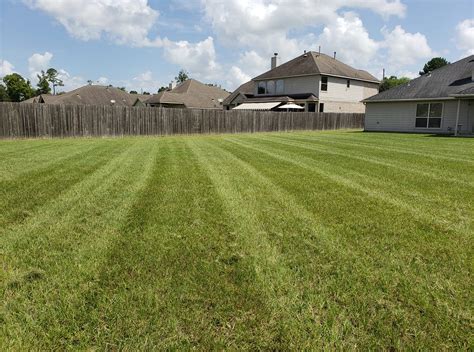 Lawn Care And Landscaping Services In Conroe Tx