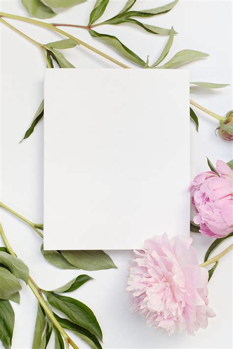 Blank Card With Pink Flowers By Stocksy Contributor Alessio Bogani
