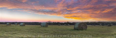 Texas Hay Field Panorama At Sunrise 1 Texas Hill Country Images