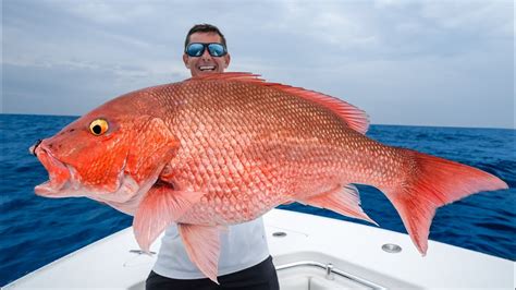Floridas Most Controversial Fish Catch And Cook Red Snapper Youtube