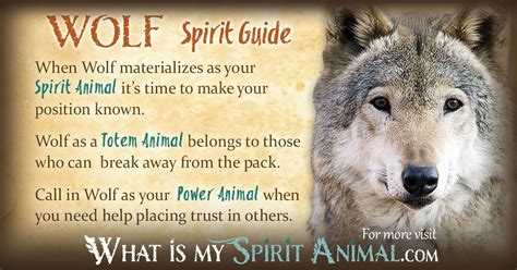 Wolf Symbolism And Meaning Spirit Animal Totem Power Animal Animal