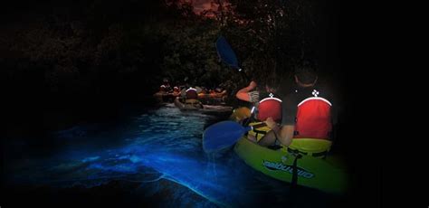 San Juan Puerto Rico Bioluminescent Bay Kayak Excursion Norwegian