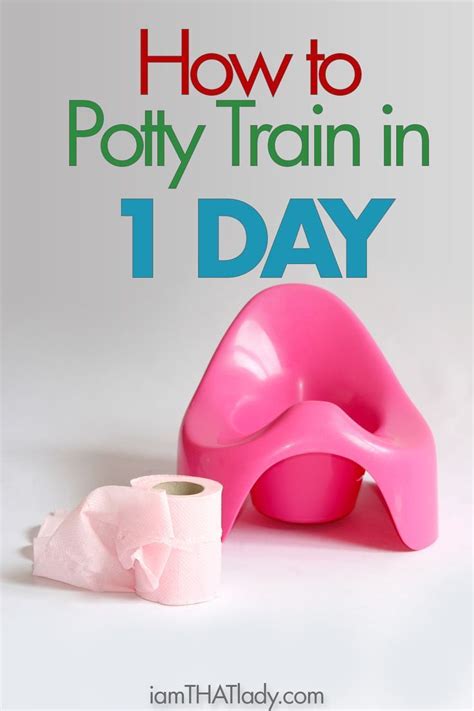 How To Potty Train In A Day Potty Training Girls Potty Training