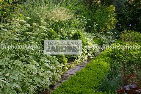 La Photothèque Les Plus Beaux Jardins Bordure Buis Buxus