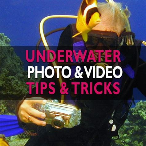 Underwater Photography And Video Tips And Tricks Underwater Photography