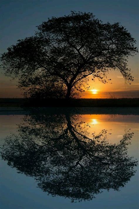 Beautiful Sunset And Reflection In The Water Nature
