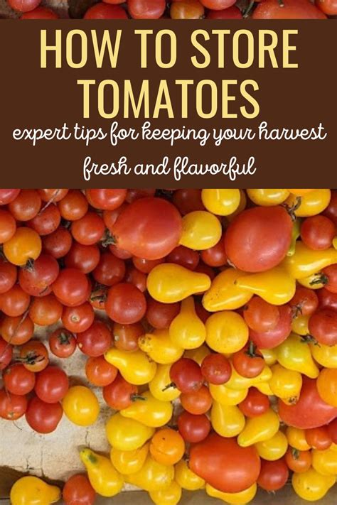 How To Store Tomatoes Expert Tips For Keeping Your Harvest Fresh And