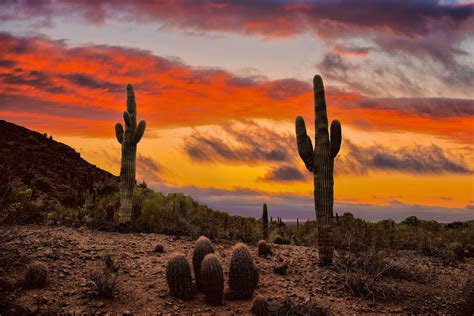 Desert sunset - Phoenix, AZ | Desert sunset photography, Desert sunset, Desert photography