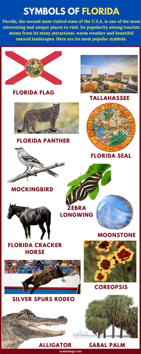 Symbols Of Florida A List Symbol Sage