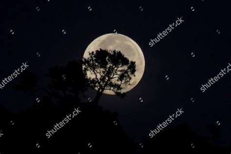 View Supermoon Seen Sunrise Known Super Editorial Stock Photo Stock