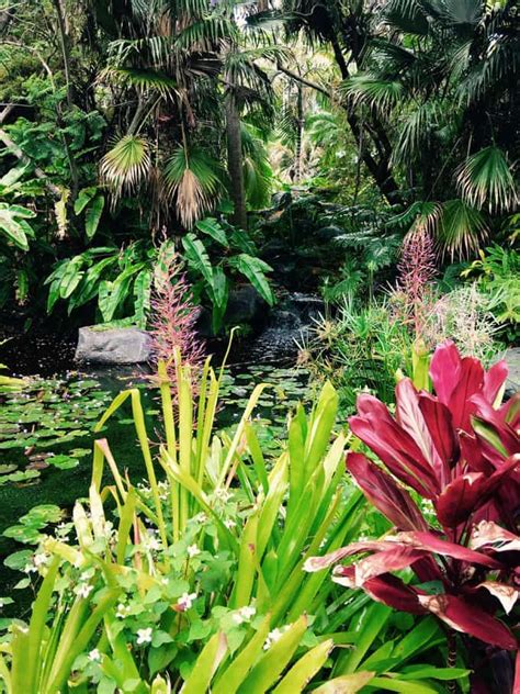 Wander through the 30 themed gardens and feel like you've taken a little trip around the world. Visit California: 11 Magnificent Botanical Gardens From ...