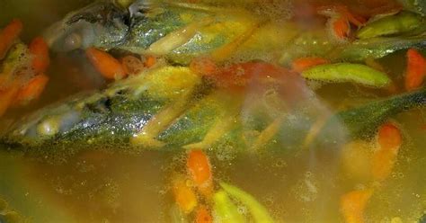 Bahan utama yang dibutuhkan untuk membuat sup ikan patin. Pindang ikan layang - 9 resep - Cookpad