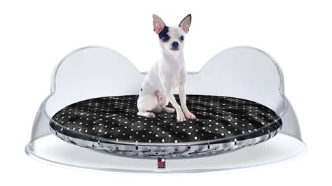 I guru del design la nostra idea di cuccia per cani parte da una parola d'ordine: Cucce-per-cani-di-lusso-da-interno-www.ddpluspet.com - YouTube