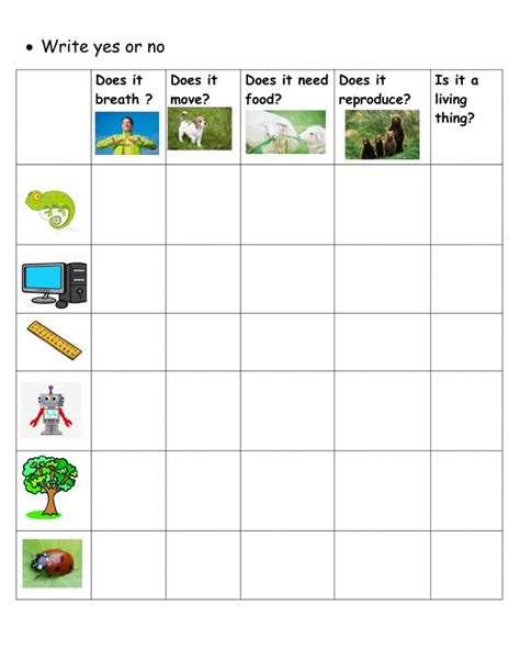 Living And Non Living Things Worksheets