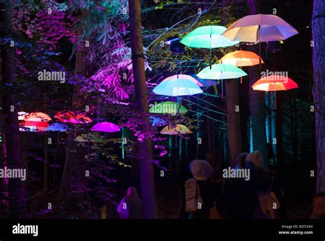 An Illuminated Installation At Night In The Enchanted Forest In